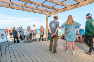 Hansholm Surfklub - Social surf