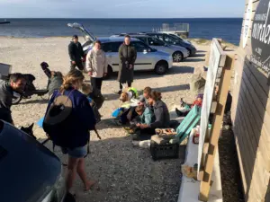 Social Surf | Hanstholm surfklub